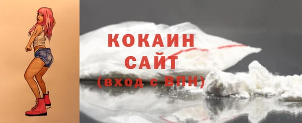 гашик Кодинск