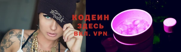гашик Кодинск