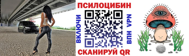 блэк спрут маркетплейс  Кондрово  Галлюциногенные грибы MAGIC MUSHROOMS  сколько стоит 