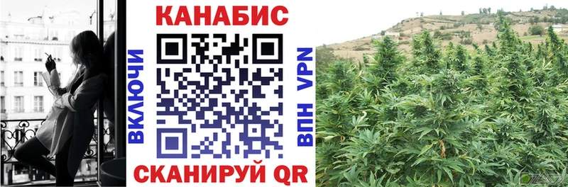 где можно купить наркотик  Кондрово  Канабис MAZAR 